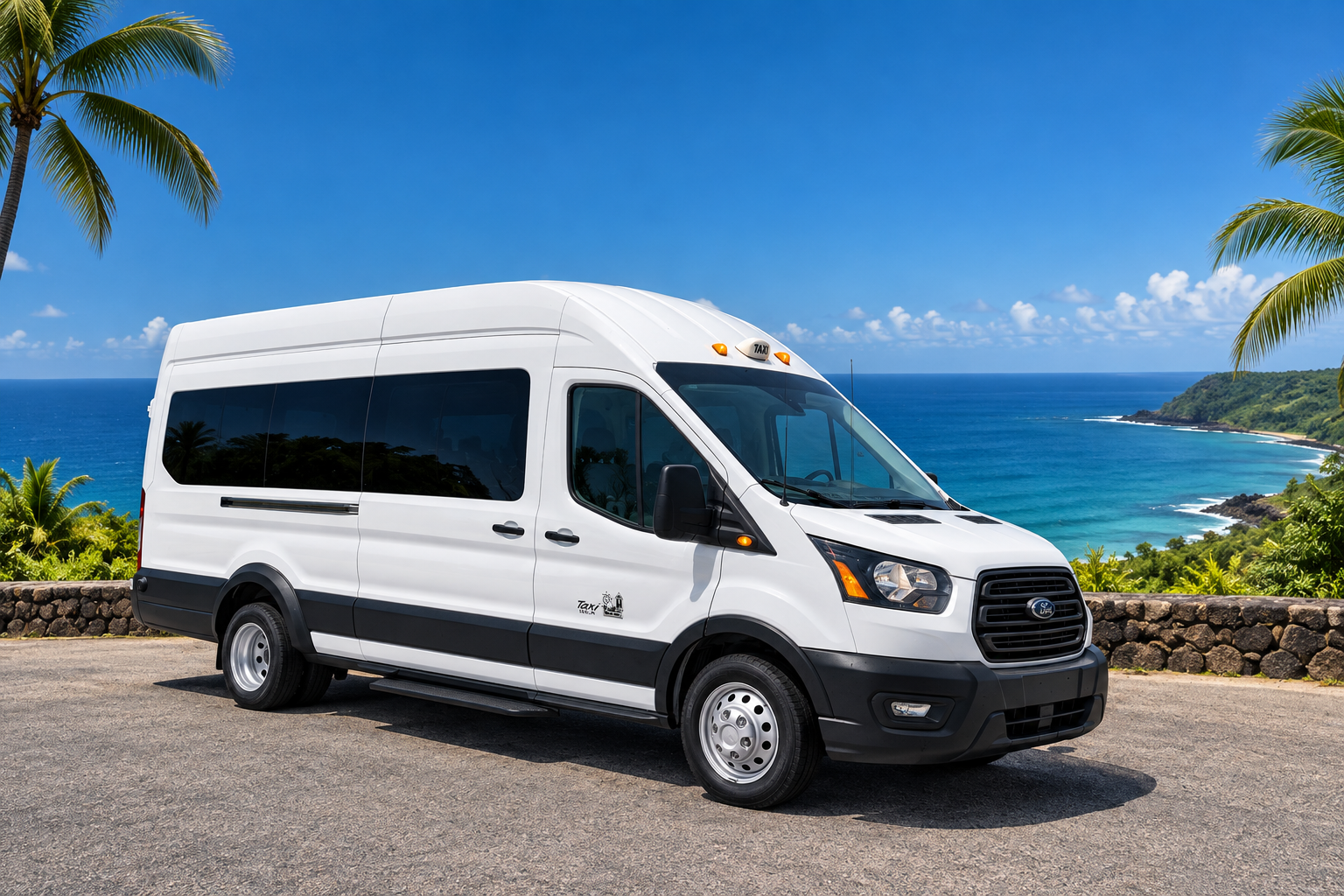 Passenger van for private transportation in Puerto Rico